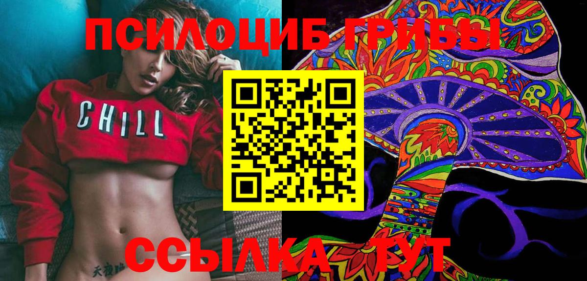 Псилоцибиновые грибы Psilocybe Муром