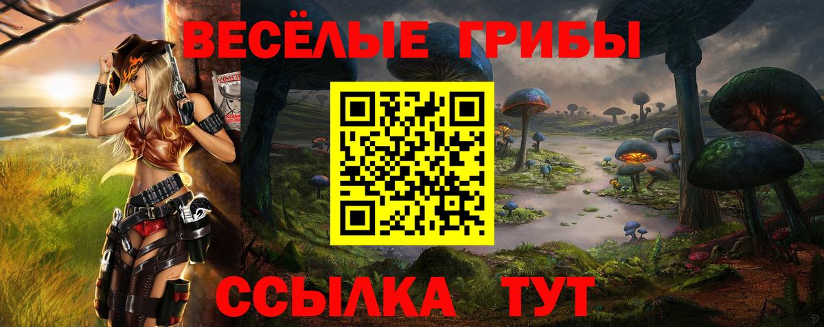 Муром  Псилоцибиновые грибы Psilocybine cubensis  дарнет шоп  Вход с VPN  Галлюциногенные грибы мухоморы 